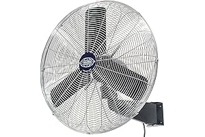 Wall-Mounted, High-Volume Airflow, Industrial-Strength Exhaust Fan