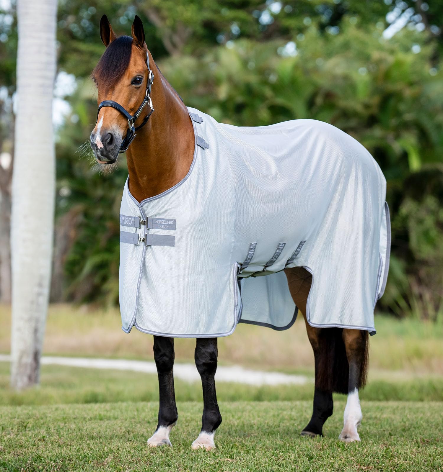 Amigo Bug Buster - Sujetador sin cuello, color plateado/titanio gris y plateado, 140