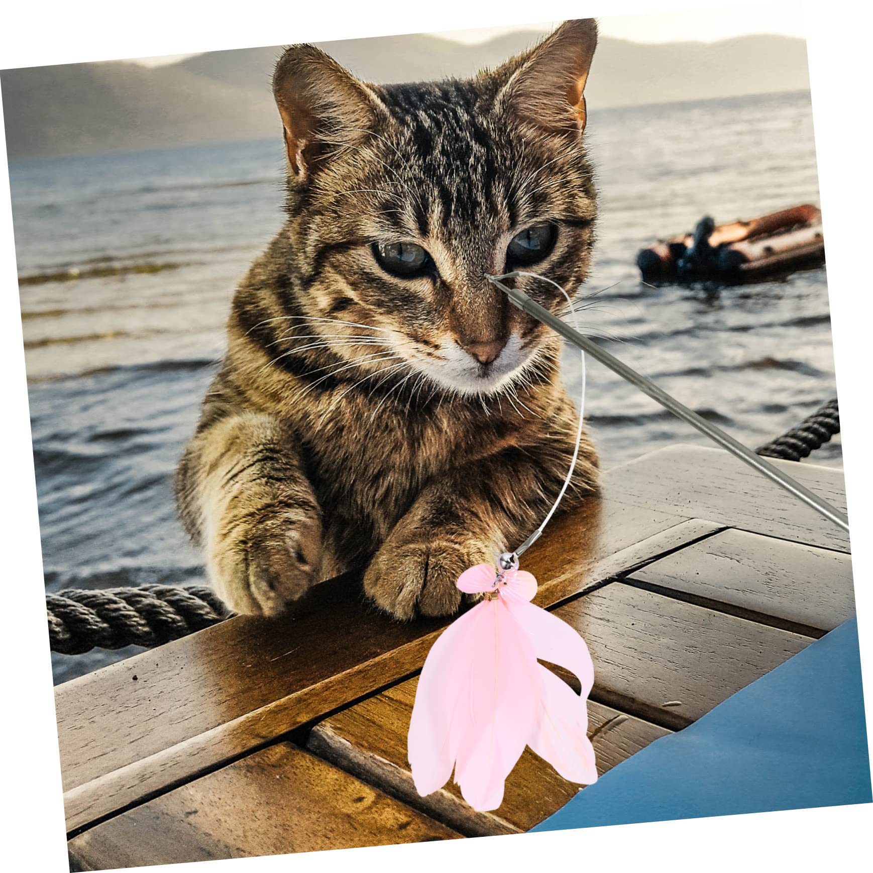 SUPVOX 3pièces Canne à pour Chat avec Jouets De Remplacement Interactif De Jeux pour Chat pour Divertissement Félins
