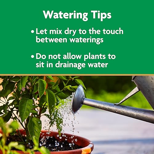 Miniatura 9 de Miracle-Gro Mezcla para macetas con control de humedad, para plantas en contenedor, protege contra el riego excesivo y insuficiente, 8 cuartos