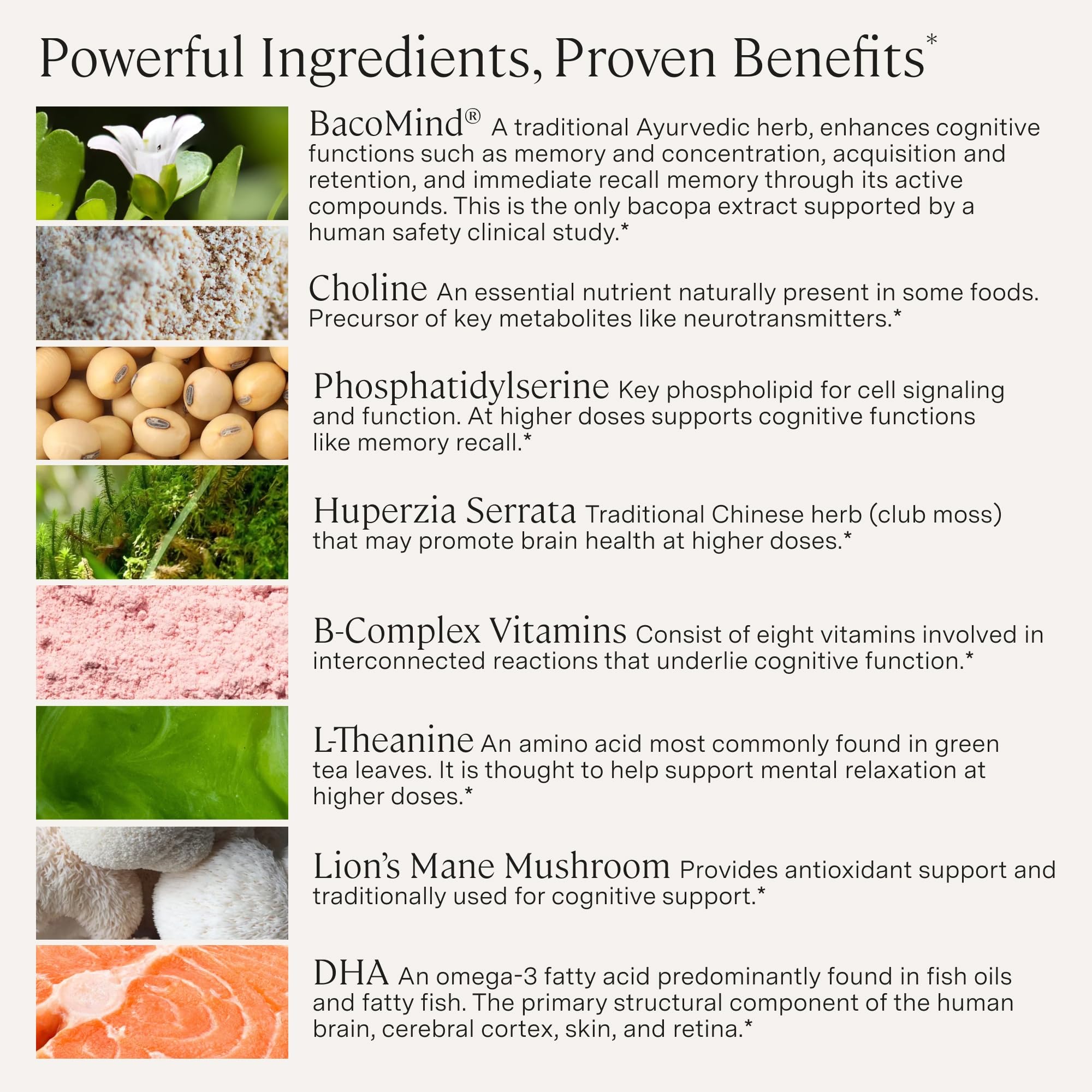 Stonehenge Health Dynamic Brain | Bacopa Supplement for Memory and Focus — Amazon image 5