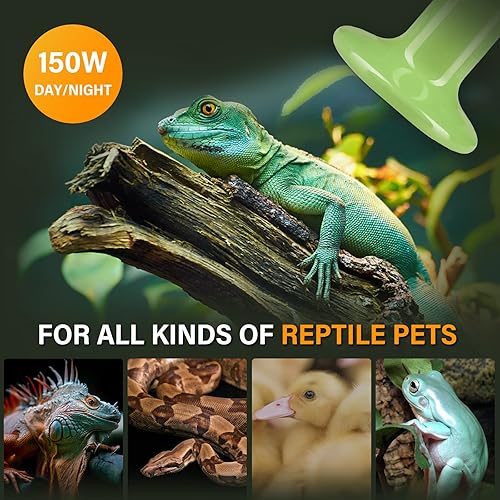 Miniatura 5 de Simple Deluxe Paquete de 2 bombillas de calor de cerámica para reptiles de 150 W, sin luz, termómetro digital LCD para acuario, para anfibios de
