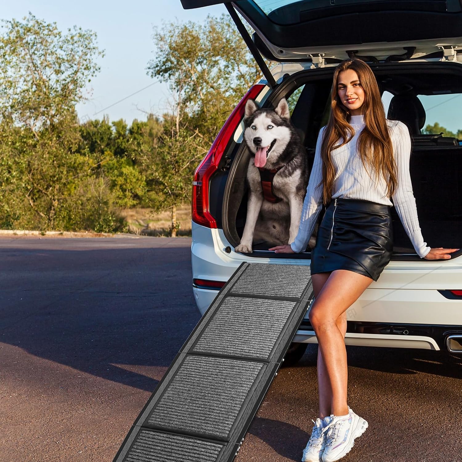 Dog Ramp for Cars, Foldable Dog Ramps for Large Dogs, Dog Stairs for Trucks, Cars and SUV, Supports up to 250 lbs (63'' L x 17'' W), Black, LYS096