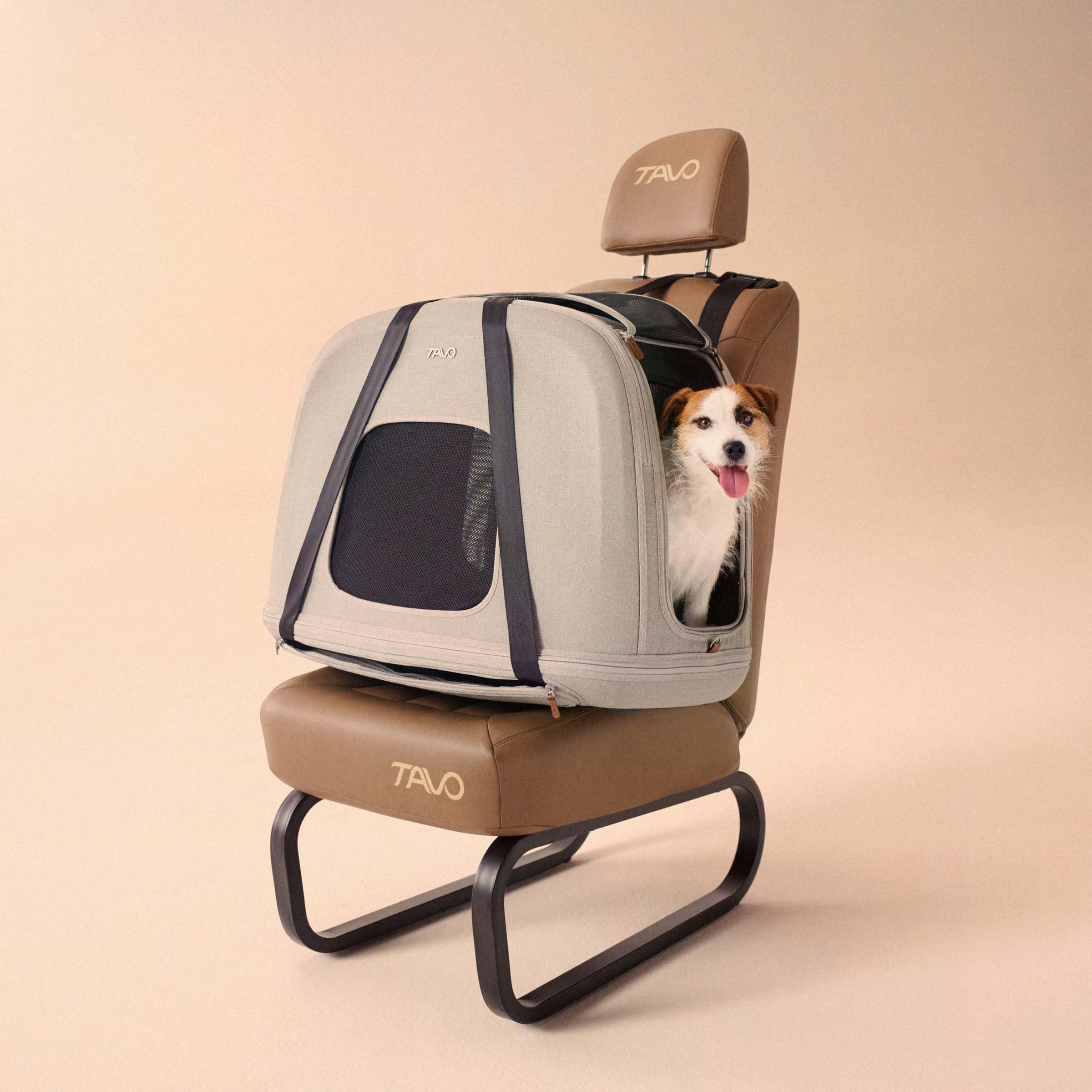 Tavo Crispin Haustier-Transportbox Small – Crash-getestete Auto-Transportbox für Hunde & Katzen, ISOFIX & Top-Tether Befestigung, 360° Mesh-Belüftung, 2 Waschbare Matratzen, Faltbar, Merle