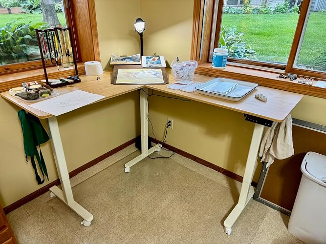 Review Image by Amazon Customer