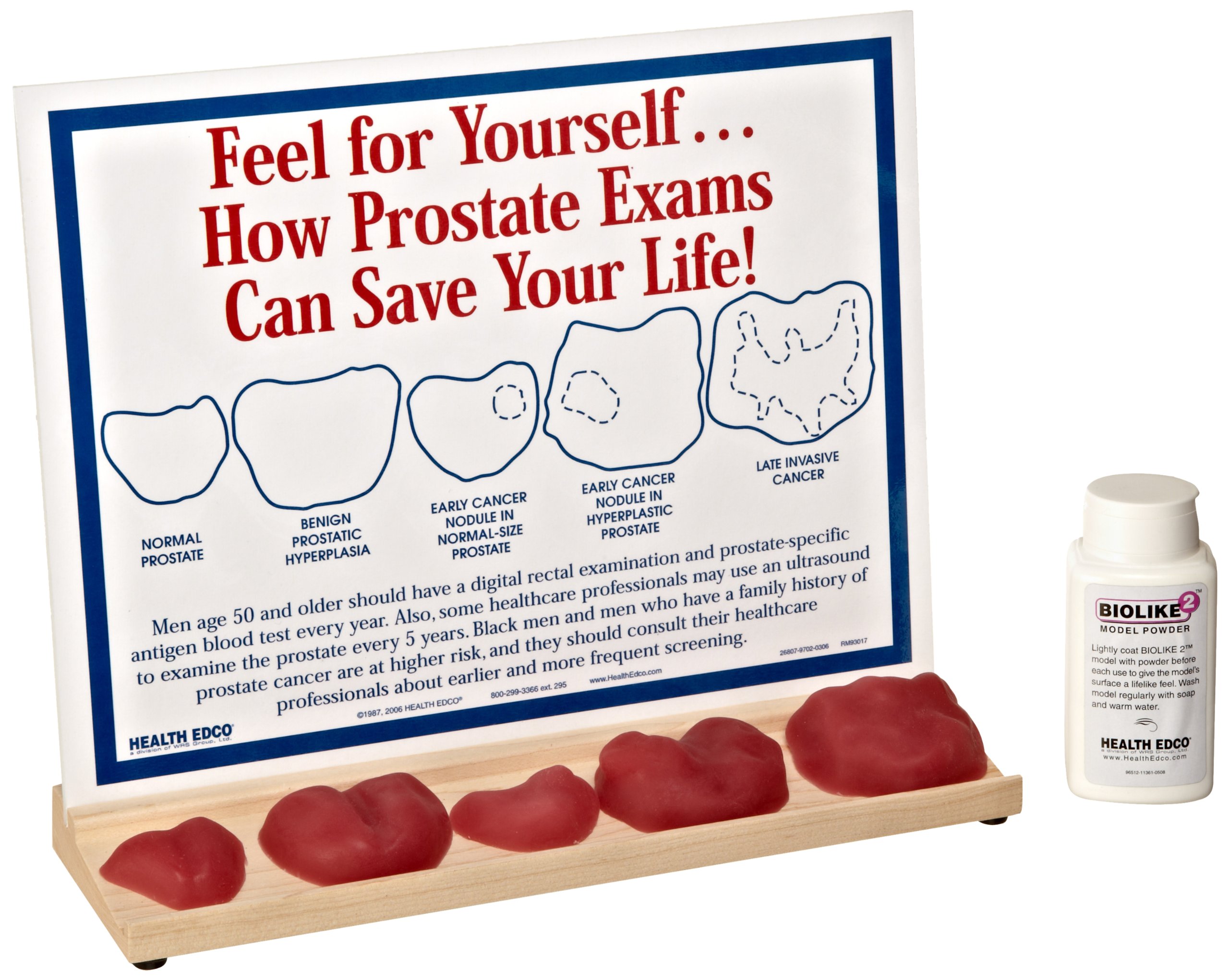 HEALTH EDCO W43228 How Prostate Exams Can Save Your Life Display, 8-1/2"  Length x 11" Height: Science Prints: Amazon.com: Tools & Home Improvement