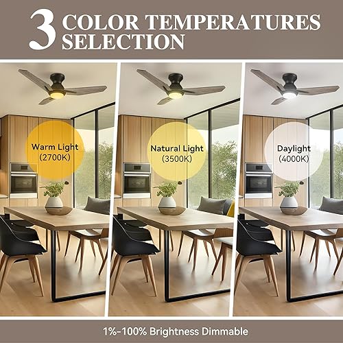 Miniatura 4 de SMAAIR Ventilador de techo inteligente con luz, ventilador de techo para interiores y exteriores con motor de CC, 10 velocidades, temporizador de 8