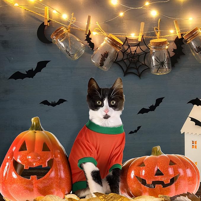 5 Disfraces de Halloween para Perro - Fantasmas Calabazas Esqueletos miniatura 5