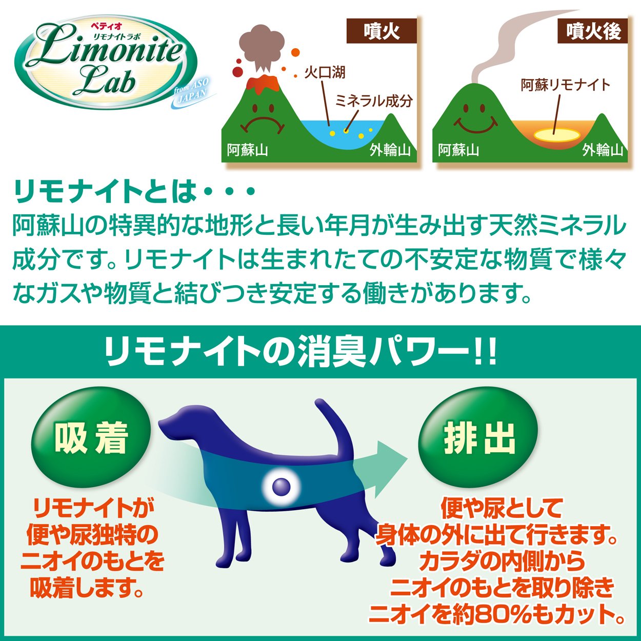 Amazon.co.jp: ペティオ (Petio) リモナイトラボ 室内犬用 1~6歳成犬用