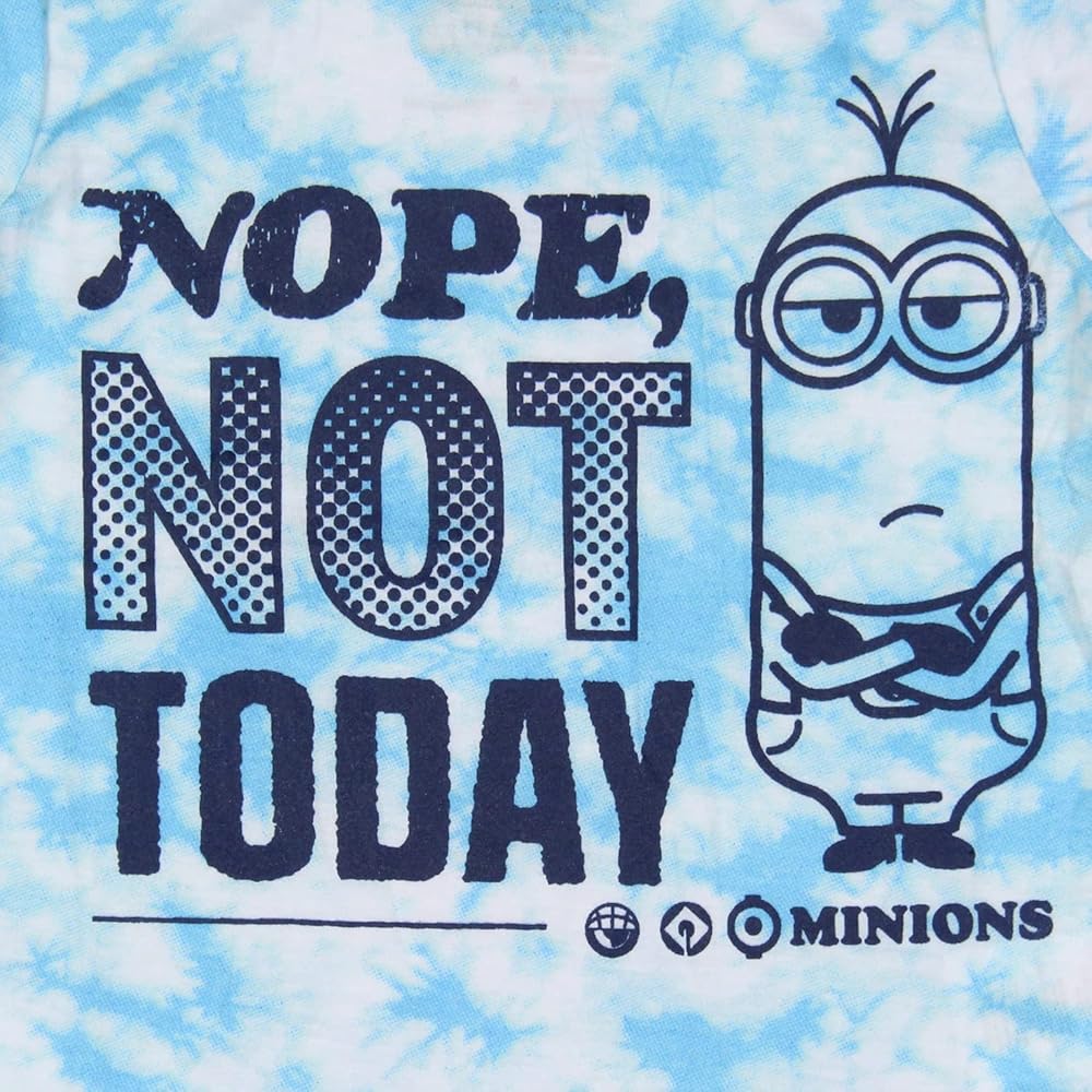 Amazon.com: Despicable Me Youth Kids Minions Nope Not Today