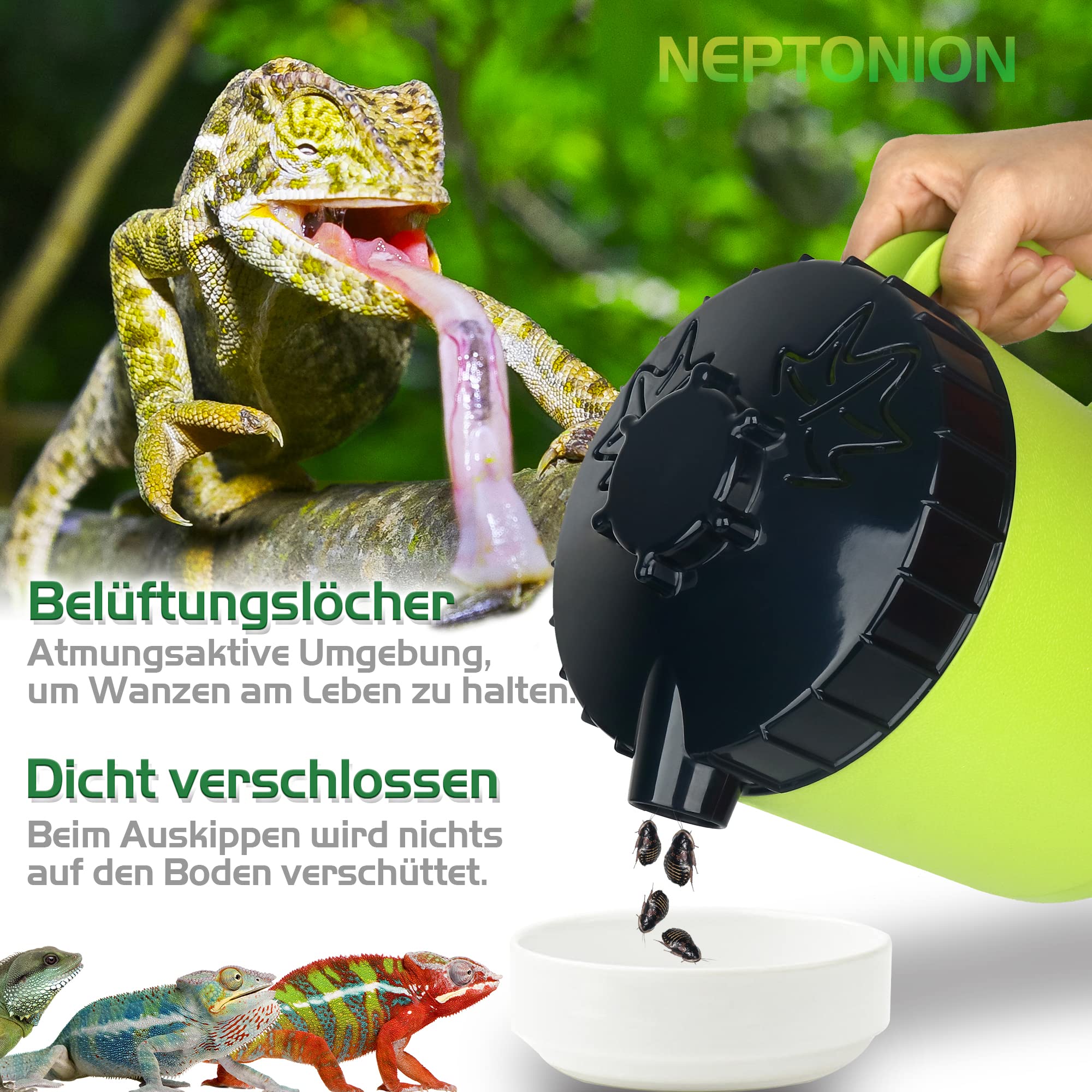 Cricket Keeper, Professioneller Dubias Keeper Futterinsekten-Organizer und Spender mit Bug Dirt Management, Solid Feed Support, Dubia Colony für Menschen mit Insektenphobie