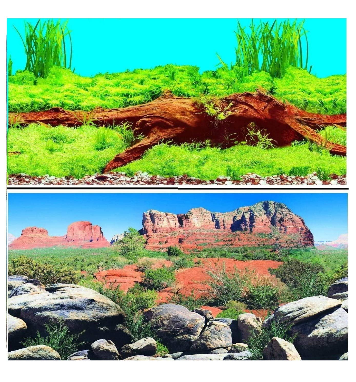 Hidom Aquarium Background Poster Double Sided - Height 31" / 80cm - Length 8 FT / 244cm - Two Scenic Pictures displaying Aquatic Backdrops - DS 800-9009/9069-8