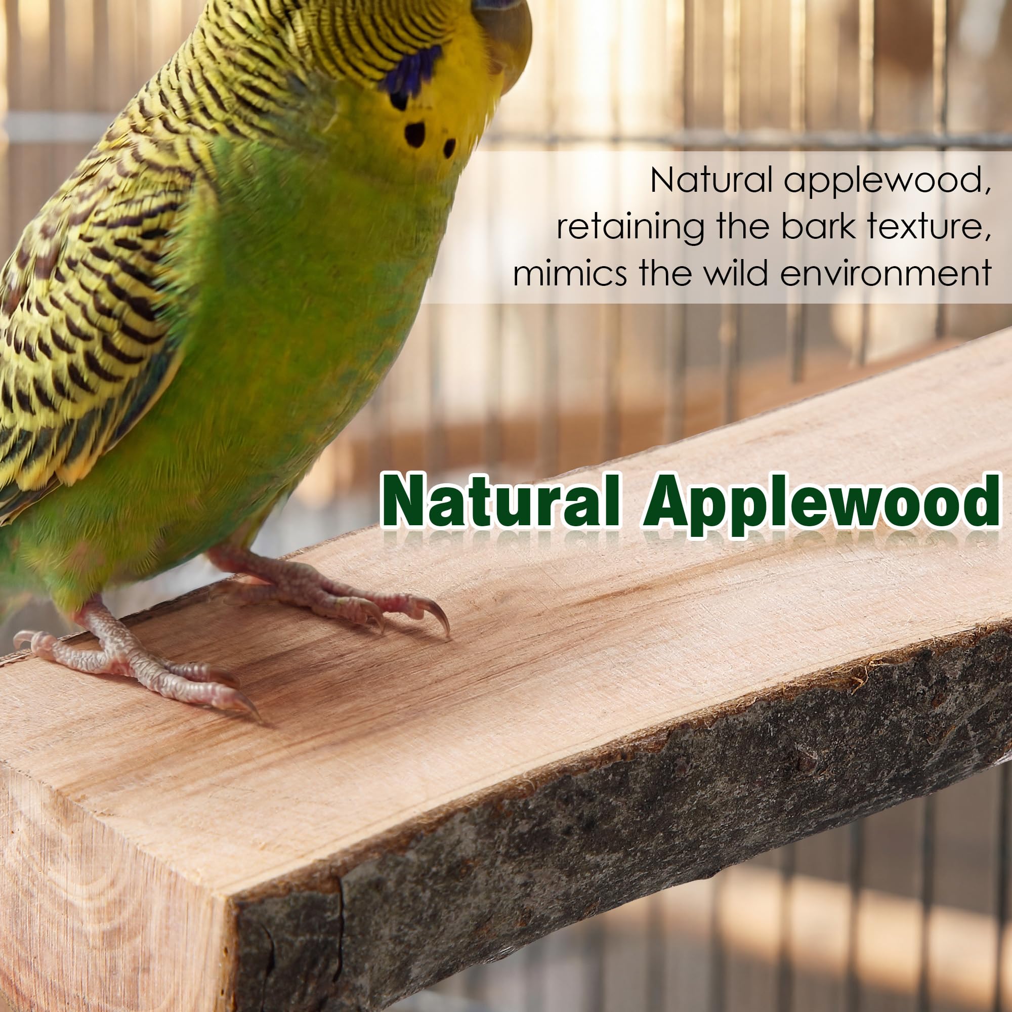 Saillong 3 Pack Natural Wood Bird Perch, Parrot Platforms Stand, Comfortable Resting Perch for Eating, Drinking & Foot Health, Chewable Standing Cage Accessories, for Parakeet, Cockatiels, Lovebirds - image 4