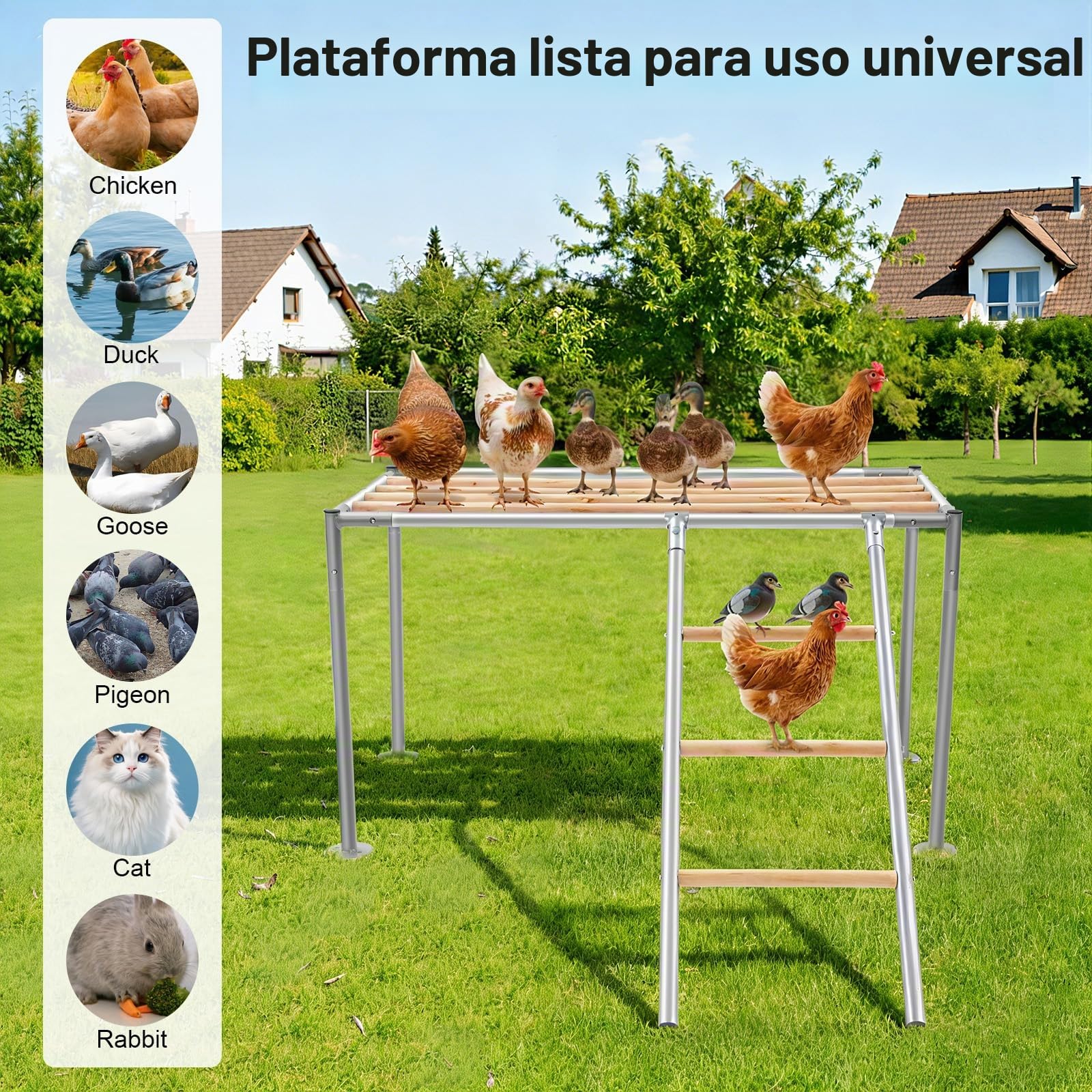 Juego de gallinero XXL para gallinas, escalera para 10 pollos, juguete para pollos, juguete exterior, 105 x 60 x 60 cm