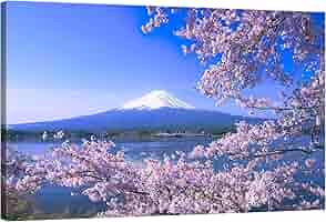 Amazon.co.jp: アートパネル 富士山 桜の絵 モダン 風景 植物
