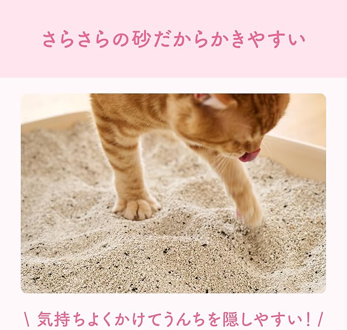 猫砂