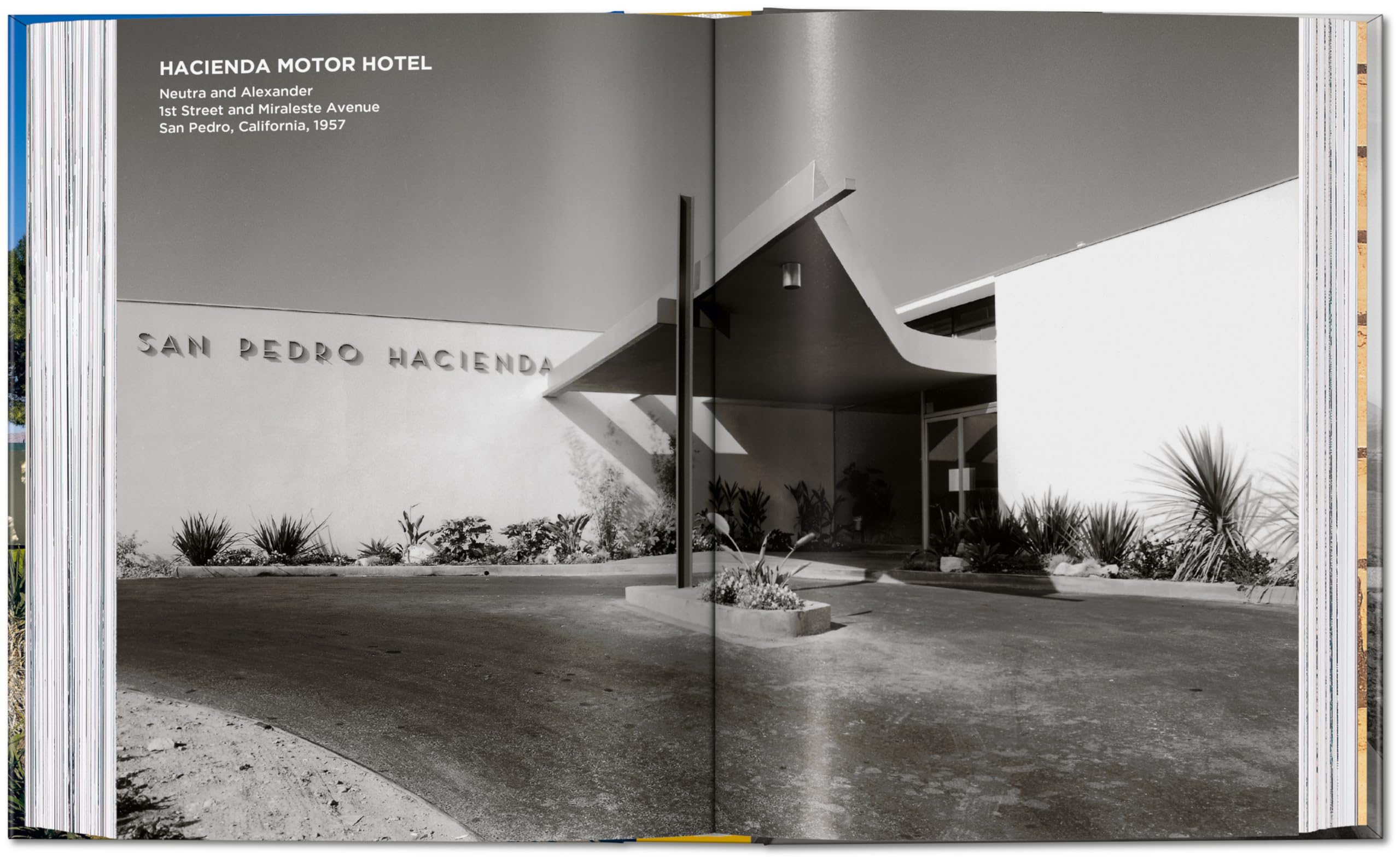 Neutra: 45th Ed. (45th Edition)