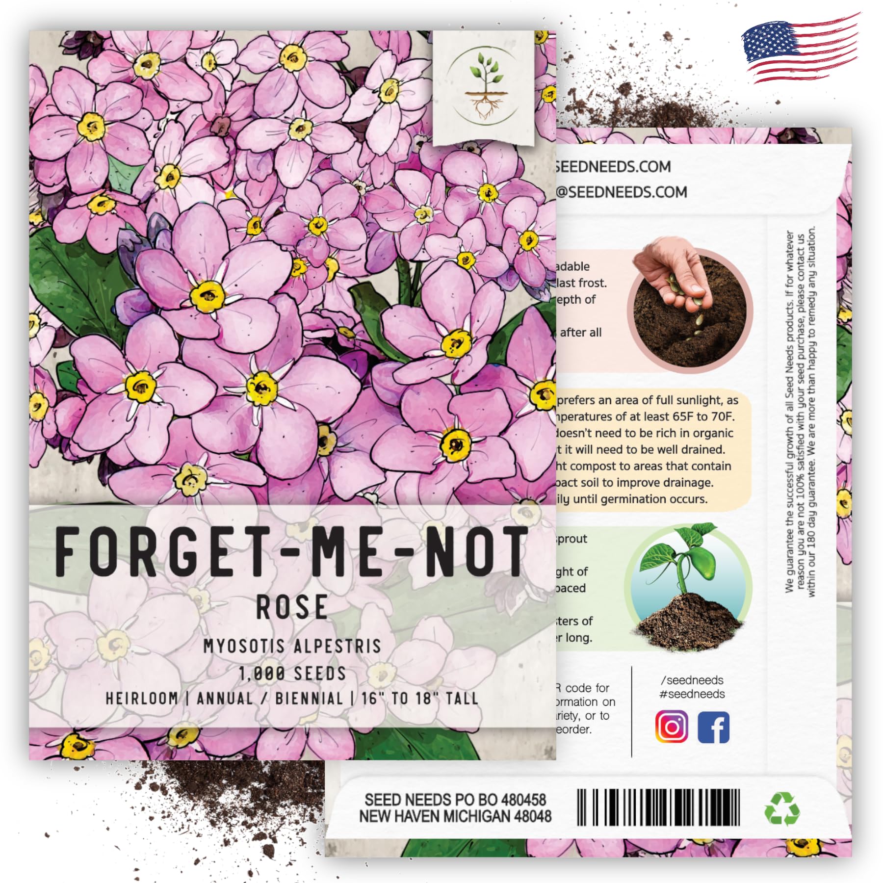 Amazon.com : Seed Needs, Rose Forget-Me-Not Seeds - 1,000 Heirloom