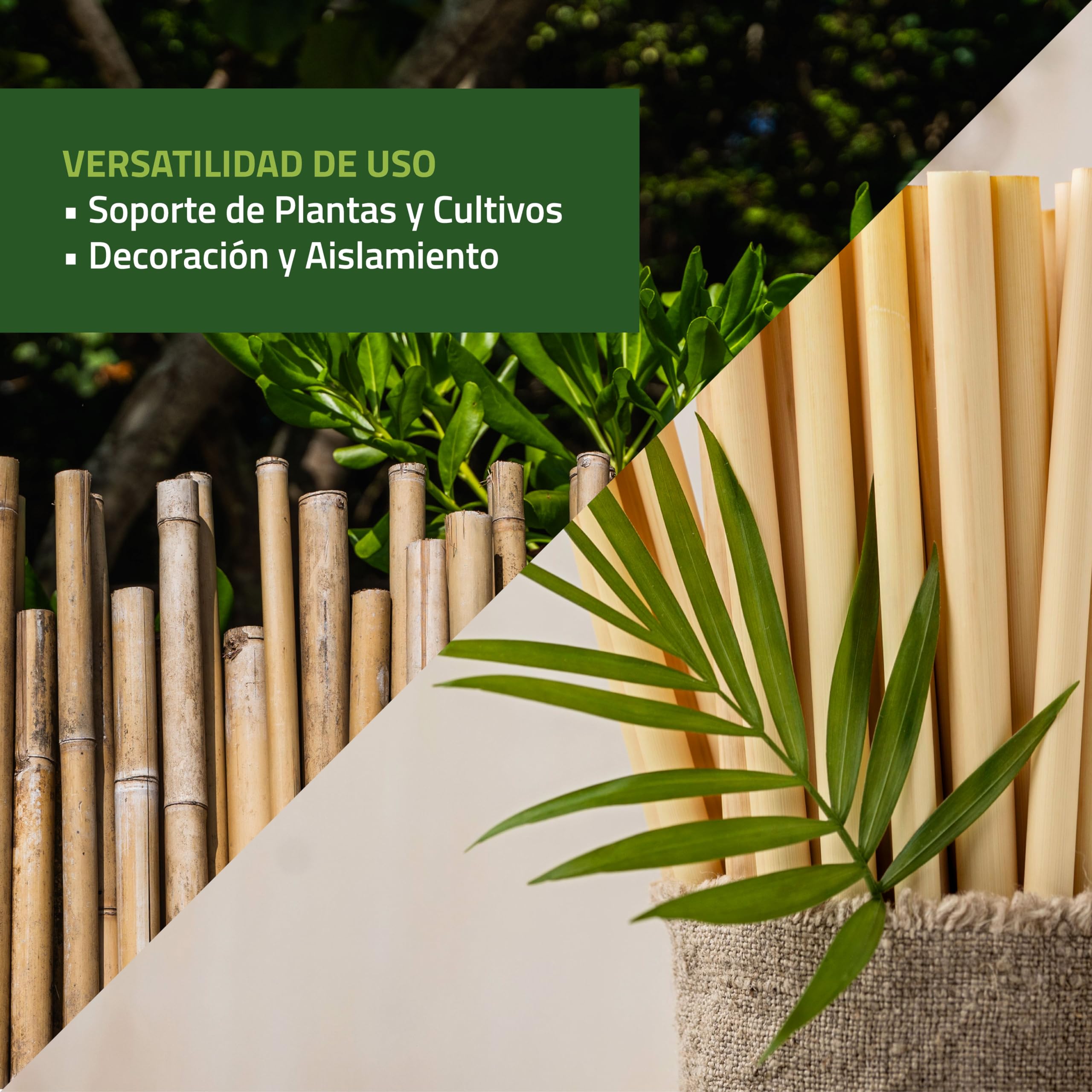 Control Garden Pack 250 Unidades Tutor de Bambú Ecológico de 180 cm | Estaca Natural Caña Sujetar Plantas ø 10-12 | Varillas Árboles, Hortalizas, Enredaderas y Cultivos