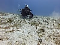 Review Image by Emily Peyton Emily Peyton