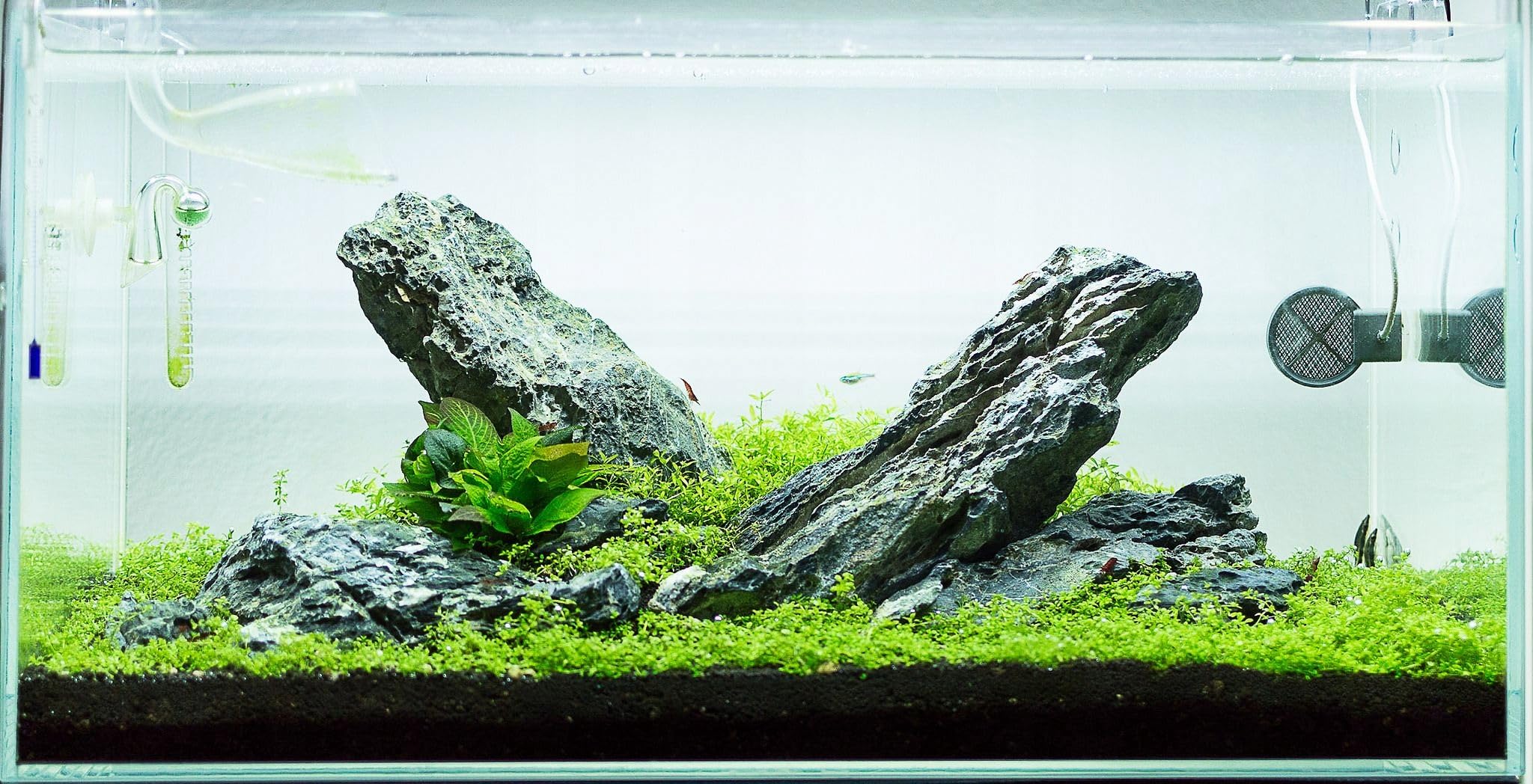 Aquarium Steine 10 kg Aquascaping Deko Scenery
