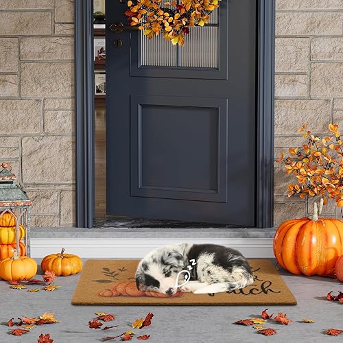 Miniatura 8 de UINI Tapete para puerta de otoño, tapete de bienvenida de calabaza para interiores y exteriores, bienvenido a nuestro parche, tapete antideslizante