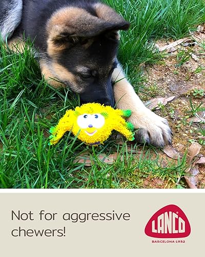 Miniatura 2 de Lanco Juguetes masticables para dentición para cachorros, juguetes chirriantes para perros de raza pequeña, látexgoma, cumple con los estándares