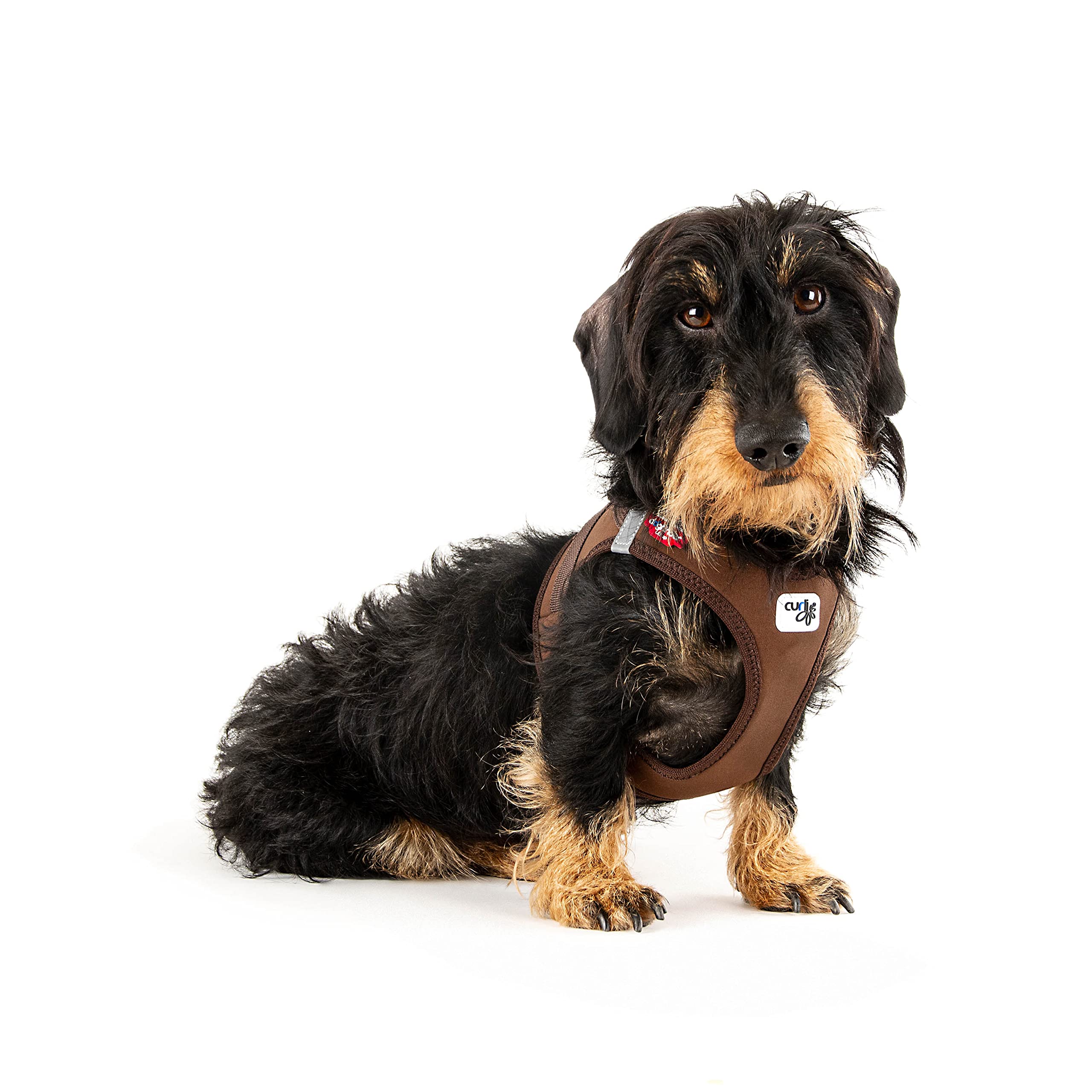Vest Harness curli Clasp Softshell Brown 3XS - Image 4