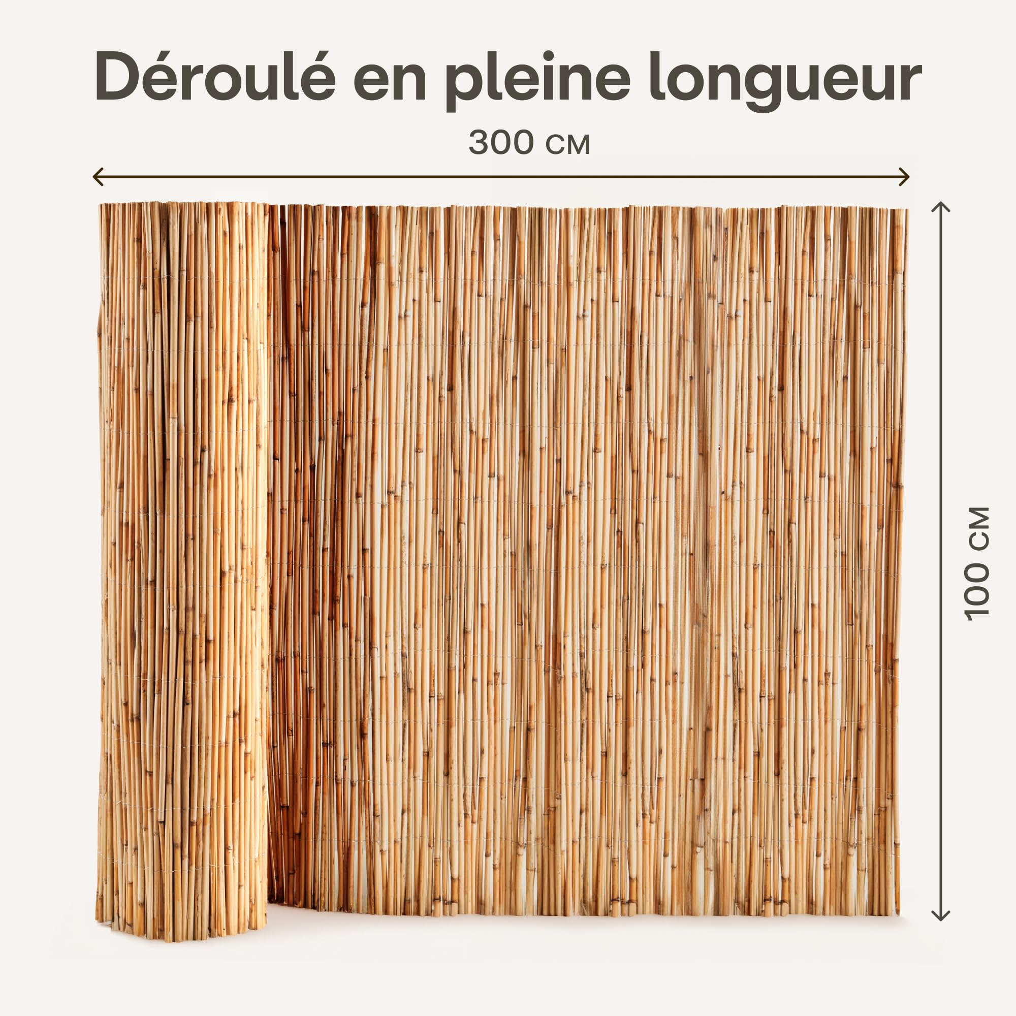 Canisse Roseau Naturel 1m x 3m FSC Certifié 100x300cm pour Balcon Jardin