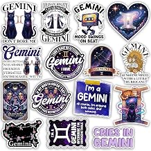 TODOLIA 15Pcs-3in Zodiac Sign Gemini Sticker Pack, Gemini Constellation Horoscope Astrology Sticker, May June Birthday Chart Gift, Decoration for Laptop Tablet Water Bottle Helmet Vehicles
