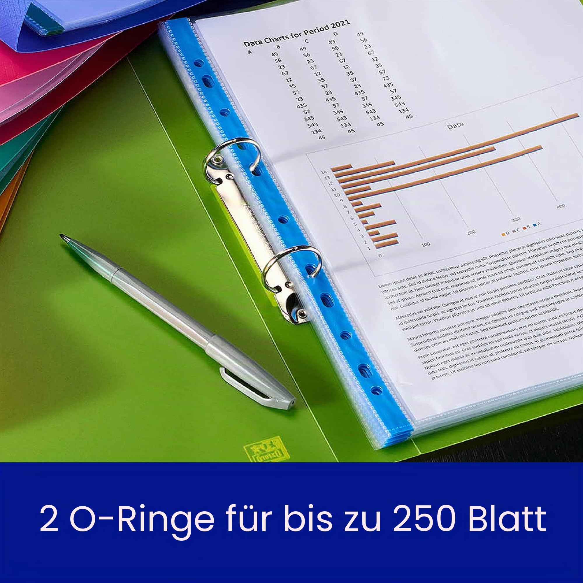 Elba Ordner, Kunststoff, 2 Ringe, 5 Stück Einzeln
