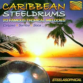 WoodstockCalypsoSteelDrum カリプソスチールドラム The Calypso Steel Drum Woodstock Percussion | Reverb