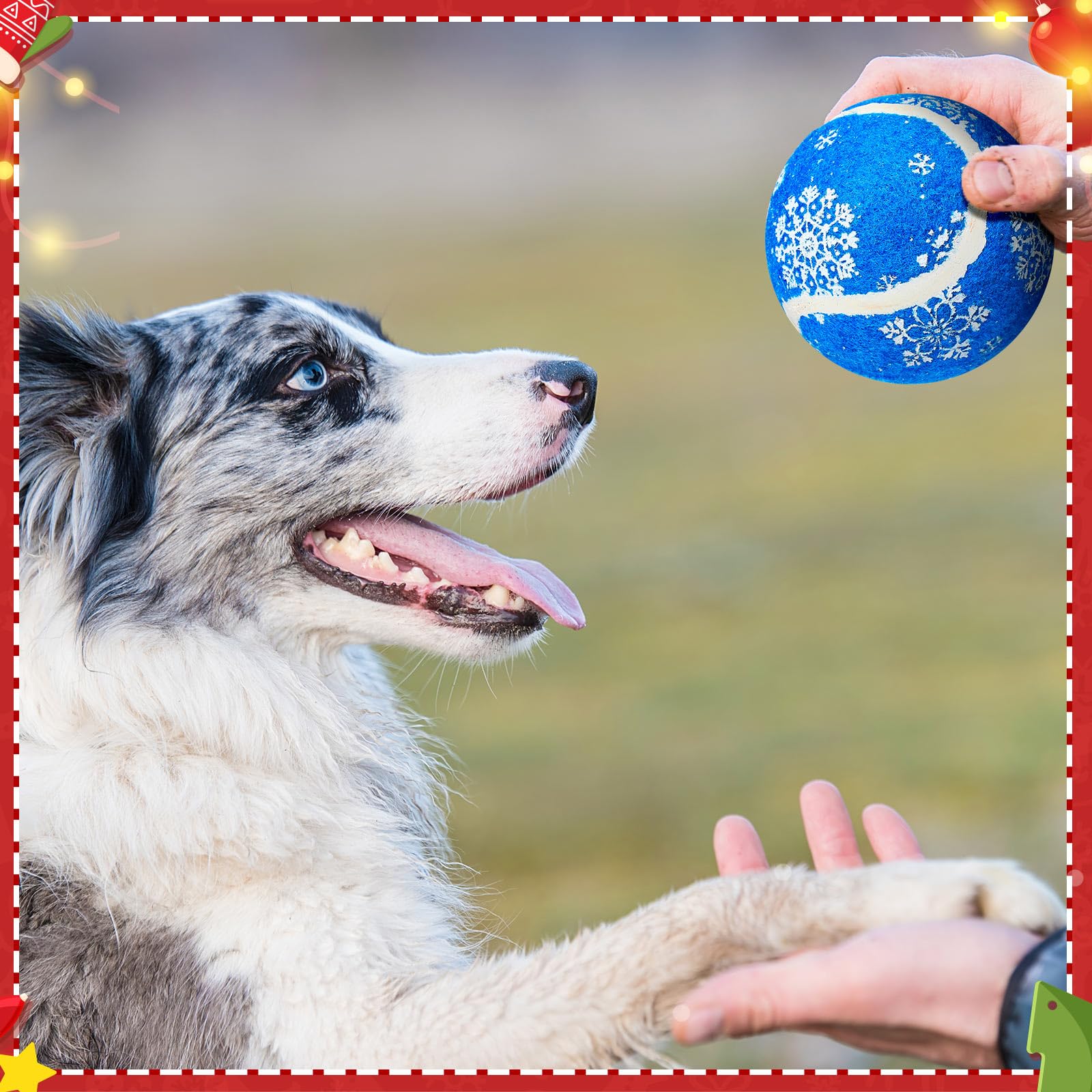 Libima 36 Stück Weihnachts-Tennisbälle für Hunde, 6,3 cm, Spielzeugball für kleine, mittelgroße und große Hunde, langlebiges Kauspielzeug für aggressive Hunde, Training, Fangen, 3 Stile