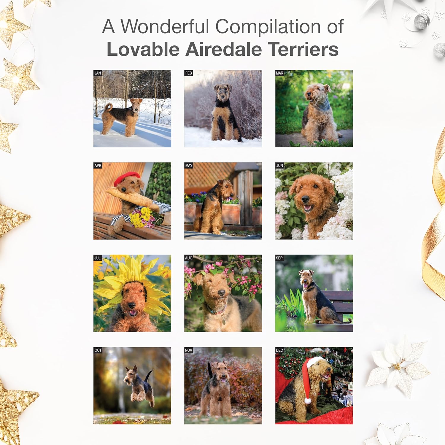 RED EMBER Airedale Terriers 2026 Wall Calendar 12 Month | 12" x 24" Open | Thick & Sturdy Paper | Holiday Gift | Cute Puppy Dog Calendar 2026 - Image 3