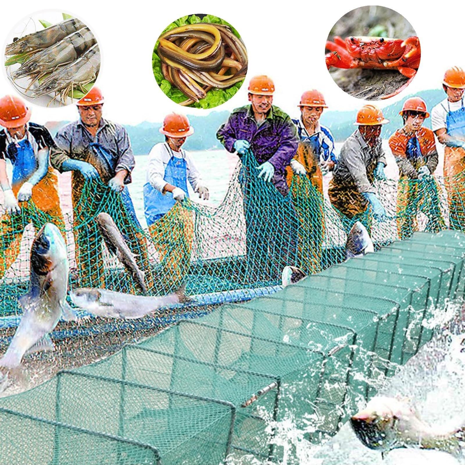 Faltbare Krabben- Und Krebsfalle – Nylonkäfig Mit Mehreren Eingängen for Garnelen-Hummer-Köderfischen