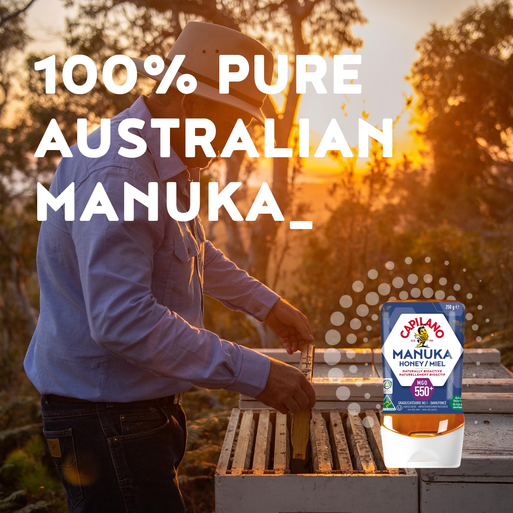 Capilano Active Manuka Honey, 100% Pure Australian Premium Manuka