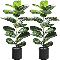 Suntee 2 Pack 30" Artificial Fiddle Leaf Fig Trees - Faux Ficus Lyrata Fake Plants in Pots for Indoor Outdoor Living Room Office Corner Decor