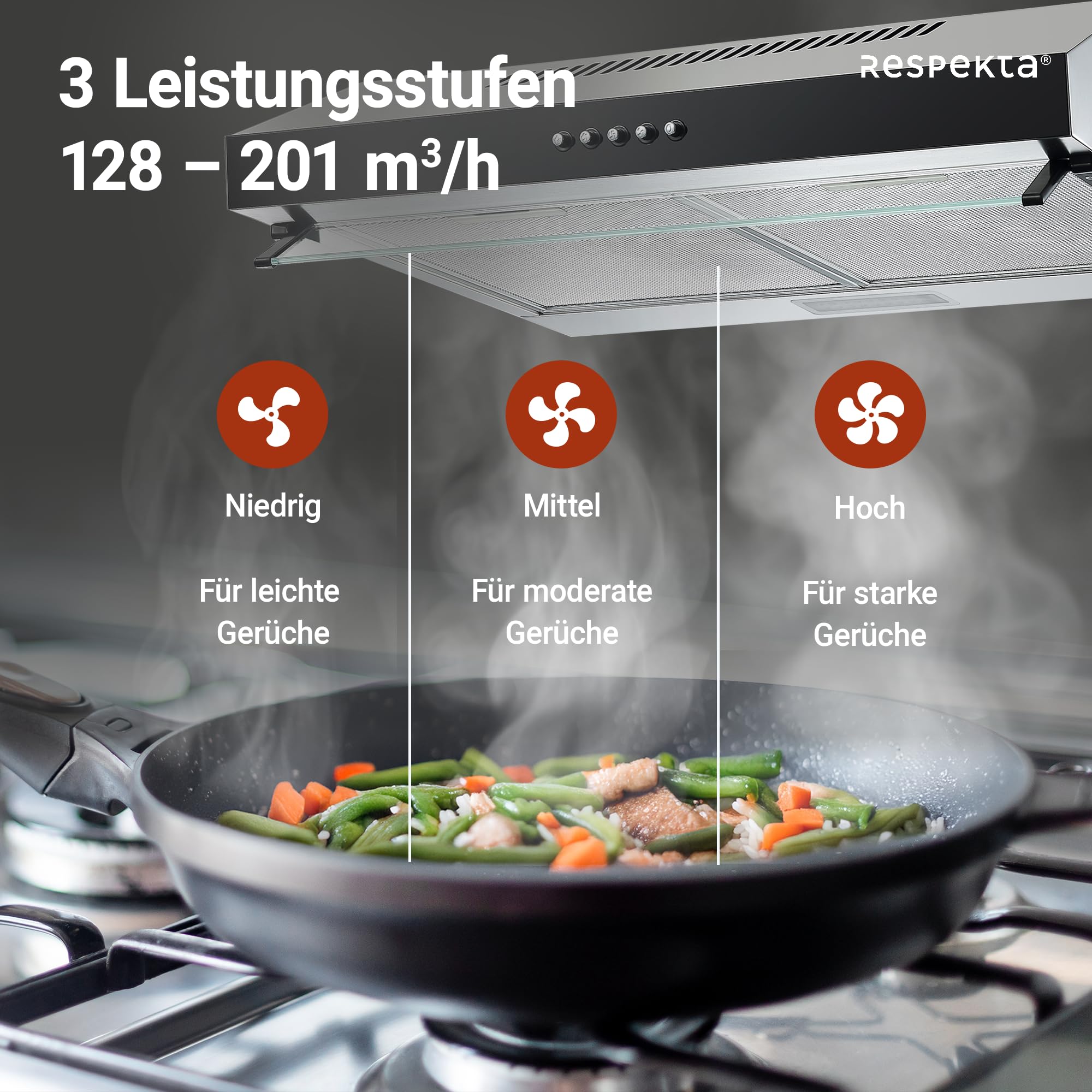 Respekta Dunstabzugshaube Unterbau 60 cm Metallgehäuse Glasfront Schwarz Abluft Umluft CH16060SGB 60-68 dB
