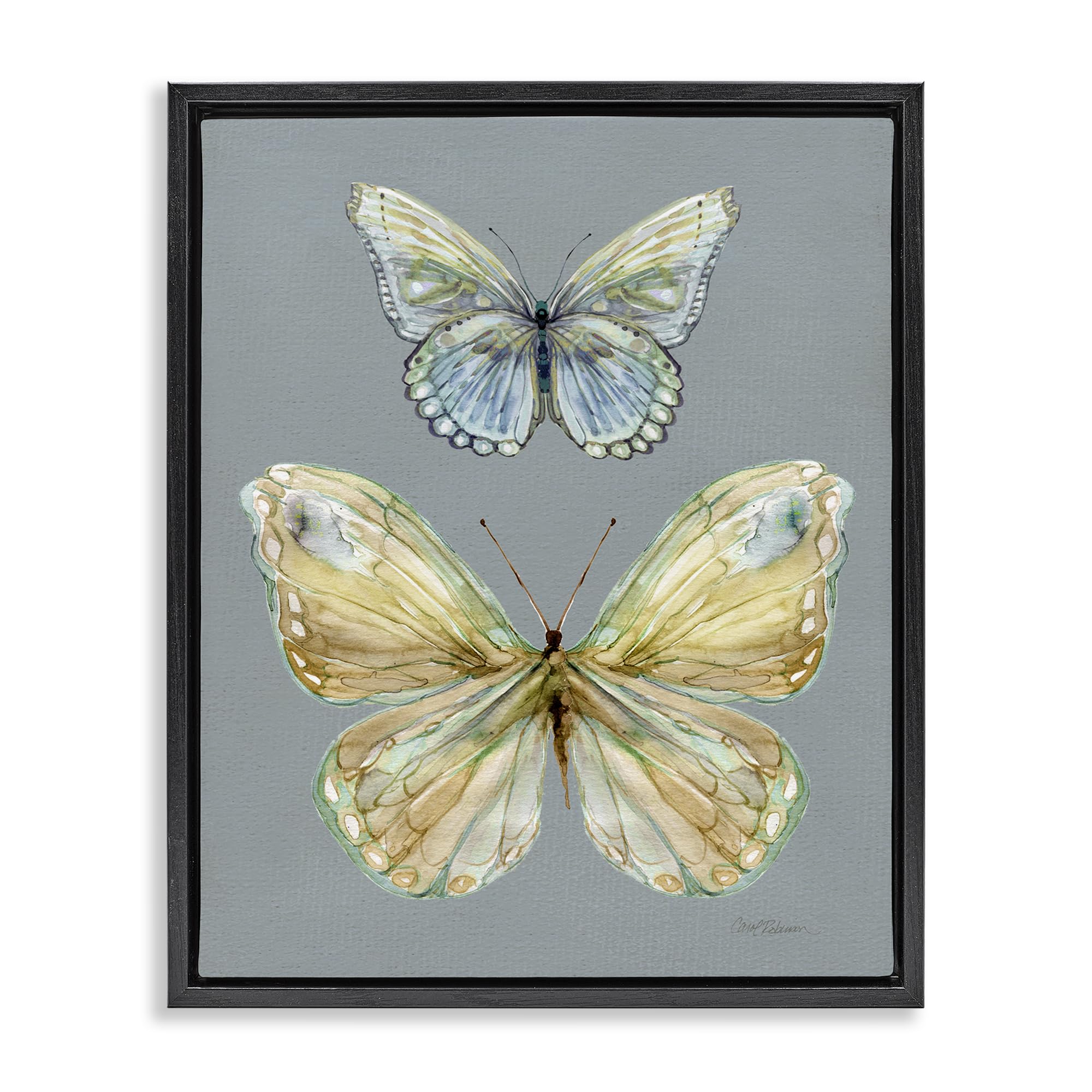 Stupell Industries Jet Black (Matte) 'Delicate Butterflies On Slate'| Floating Frame Canvas Art