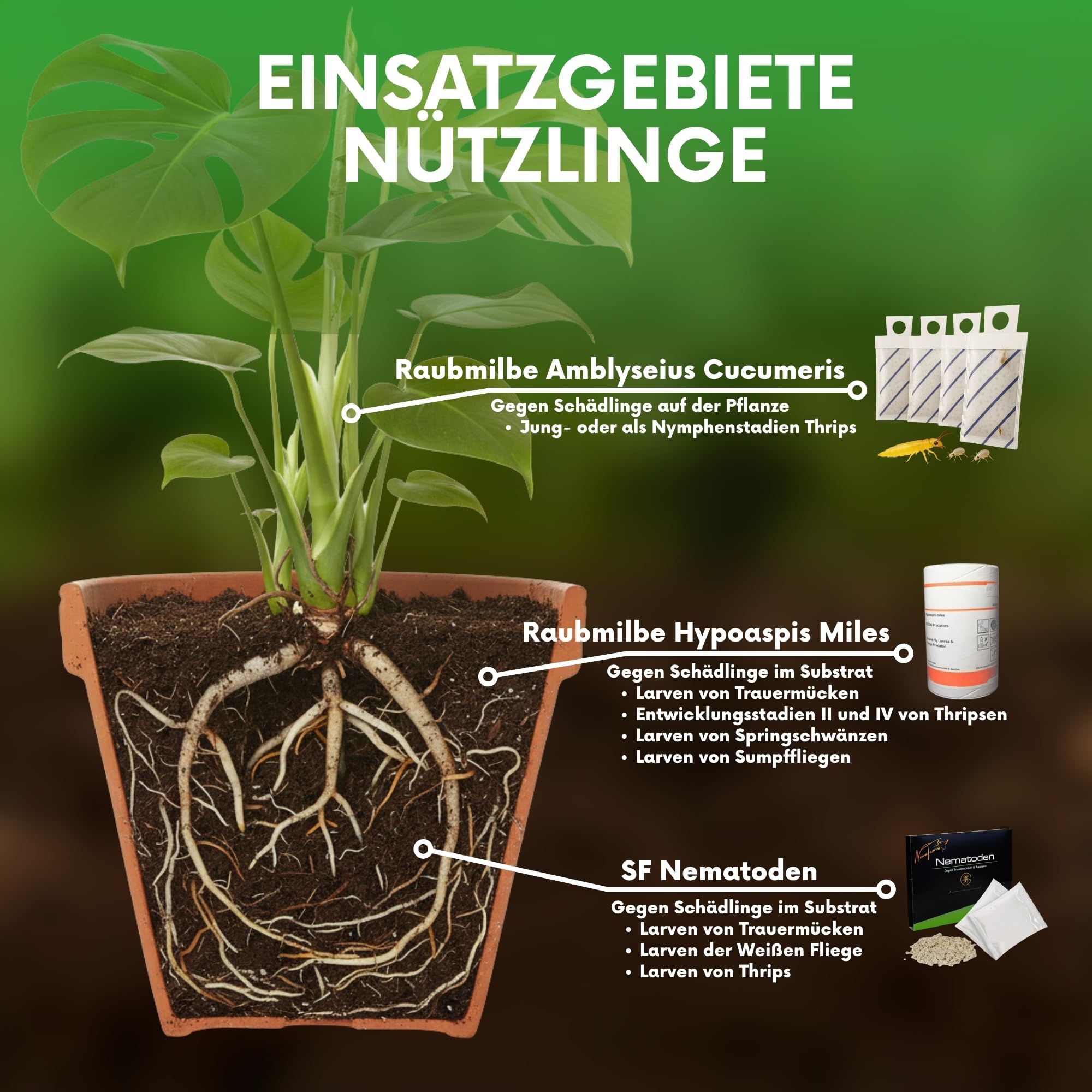 SF- Nematoden 100 mio für 200 m² gegen Trauermücken, Thrips, Weiße Fliege und weiteren Schädlingen biologische Schädlingsbekämpfung mit Fadenwürmern