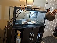 Review Image by Tyler Tyler