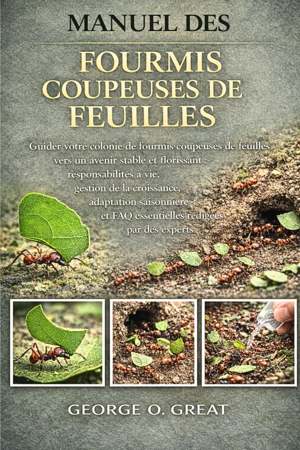 MANUEL DE LA FOURMI BALLE: Des réponses à toutes les questions sur l’entretien des fourmis balles : clarification des comportements rares, des schémas ... et des orientations essentielles pour l