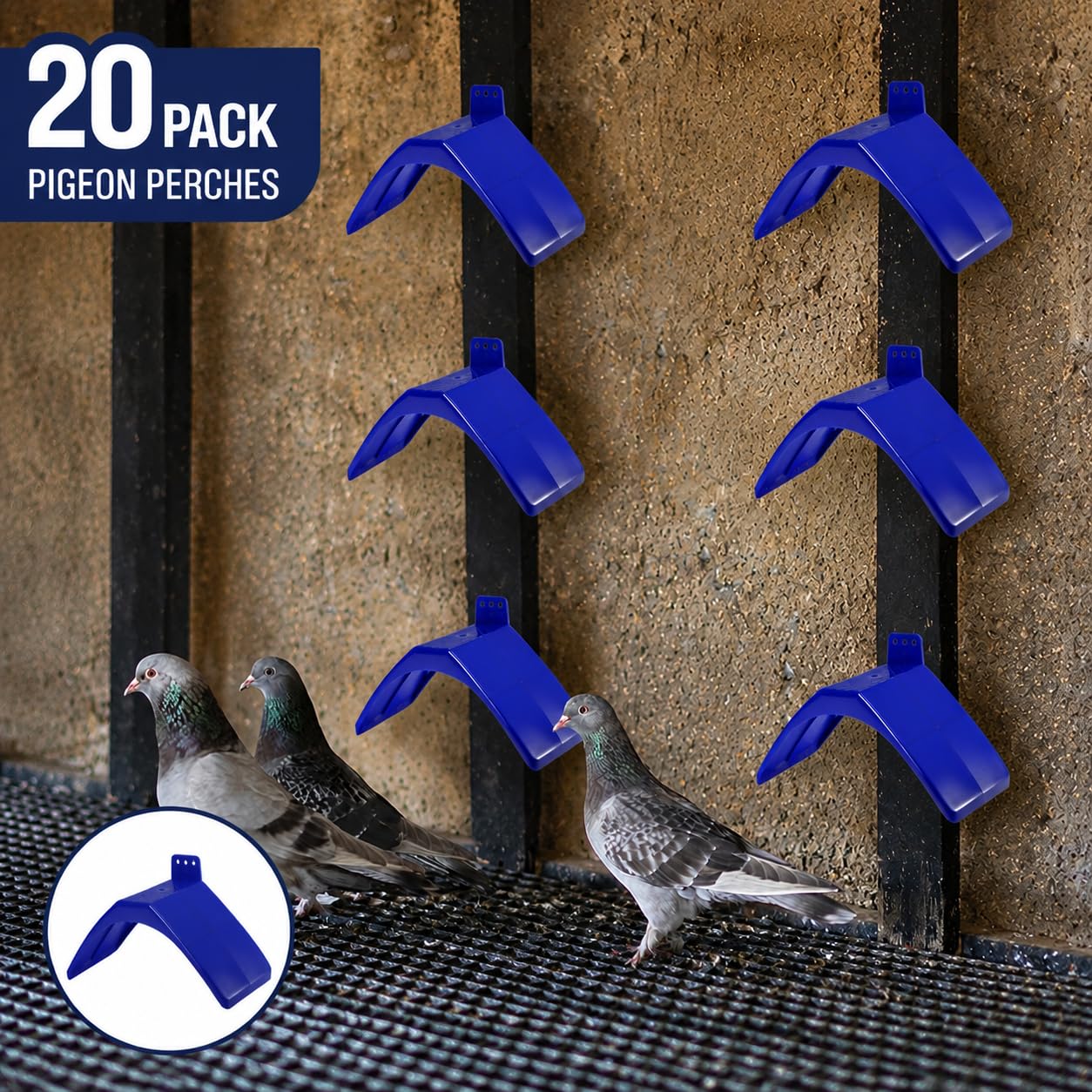 Coloch 20 soportes para palomas, soportes de plástico ligeros para palomas, soporte para pájaros, marco de vivienda, accesorios para loros y otros pájaros