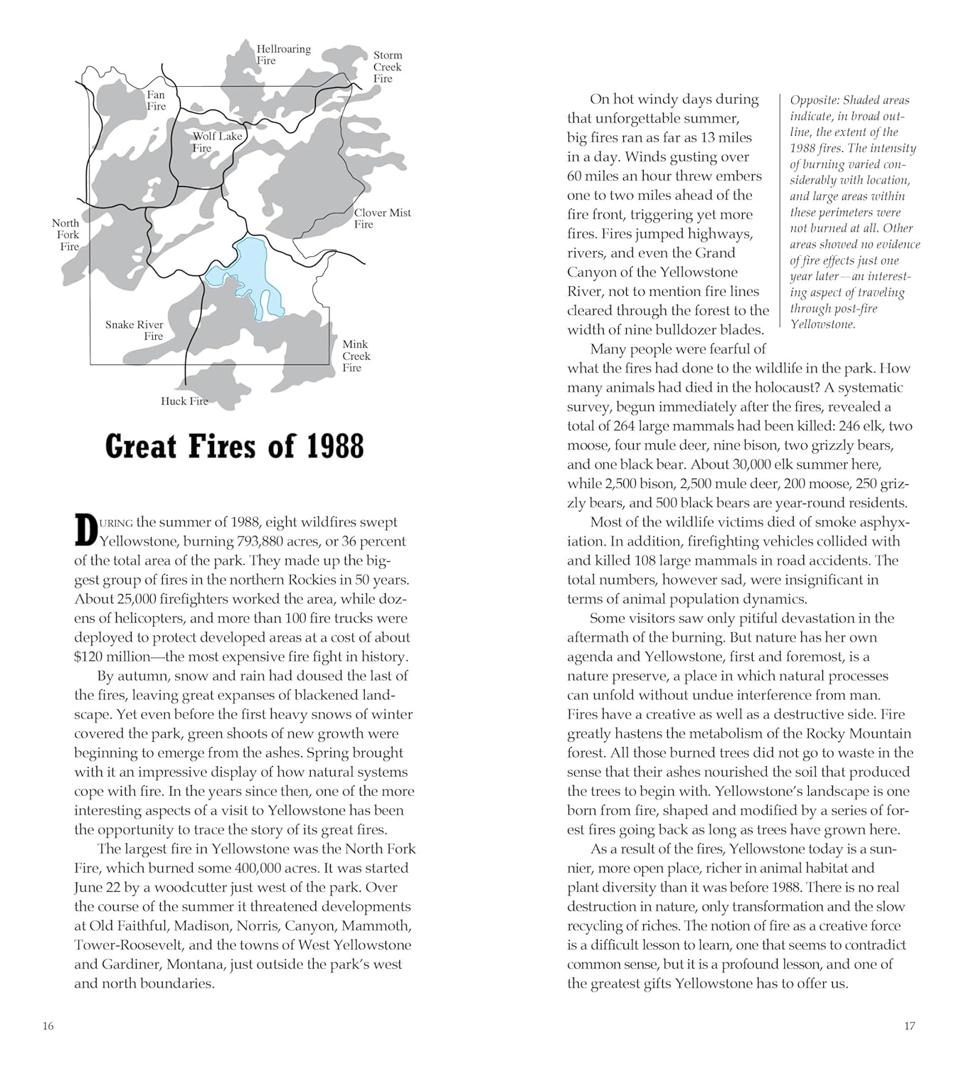 National Geographic Yellowstone and Grand Teton National Parks Road Guide: The Essential Guide for Motorists - Image 3