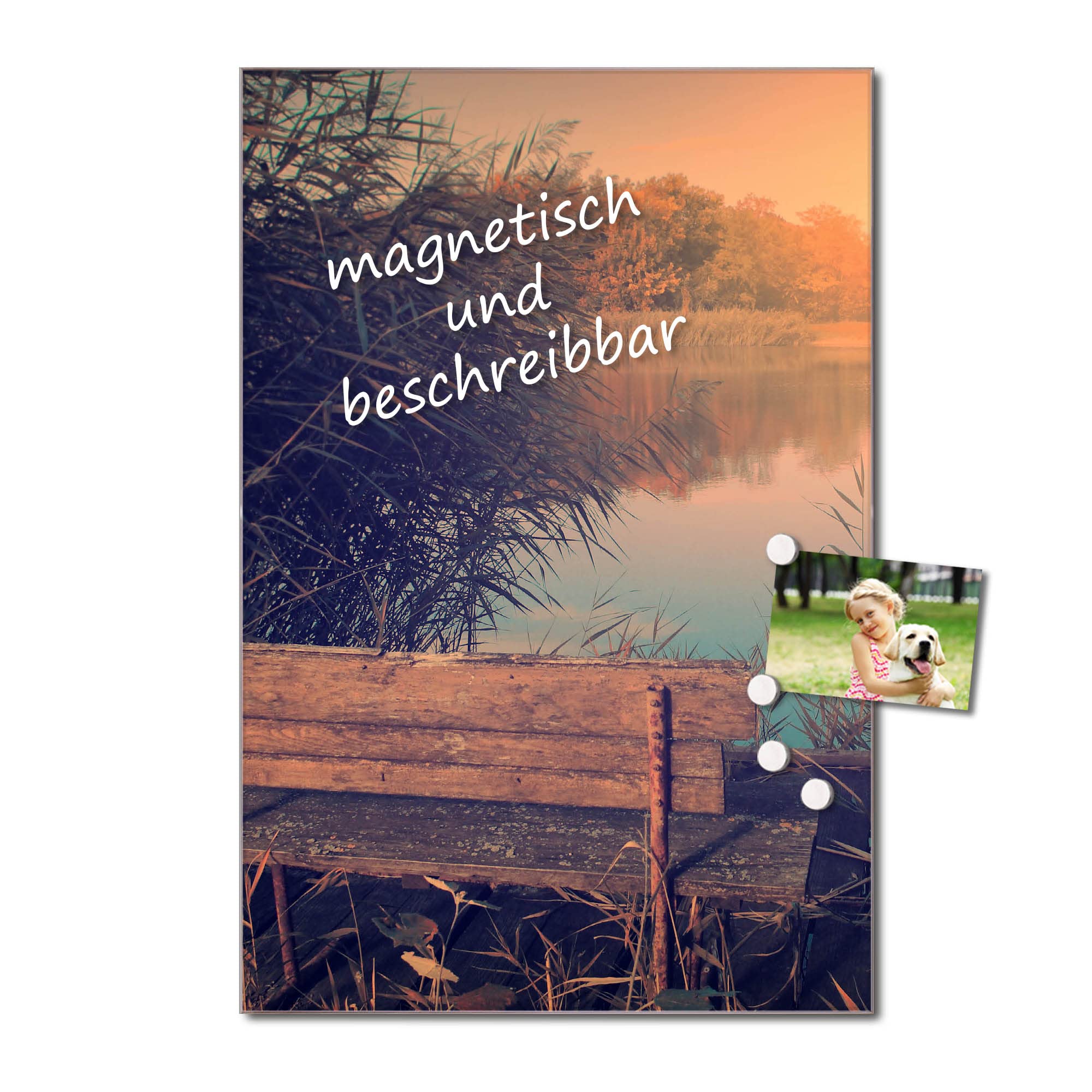 banjado Glas Magnetwand 60x90 mit Waldmotiv für Notizen, beschreibbar | Natürliches Magnetboard für Alltag und Planung, mit Motiv Bank Am See aus Wald und Natur