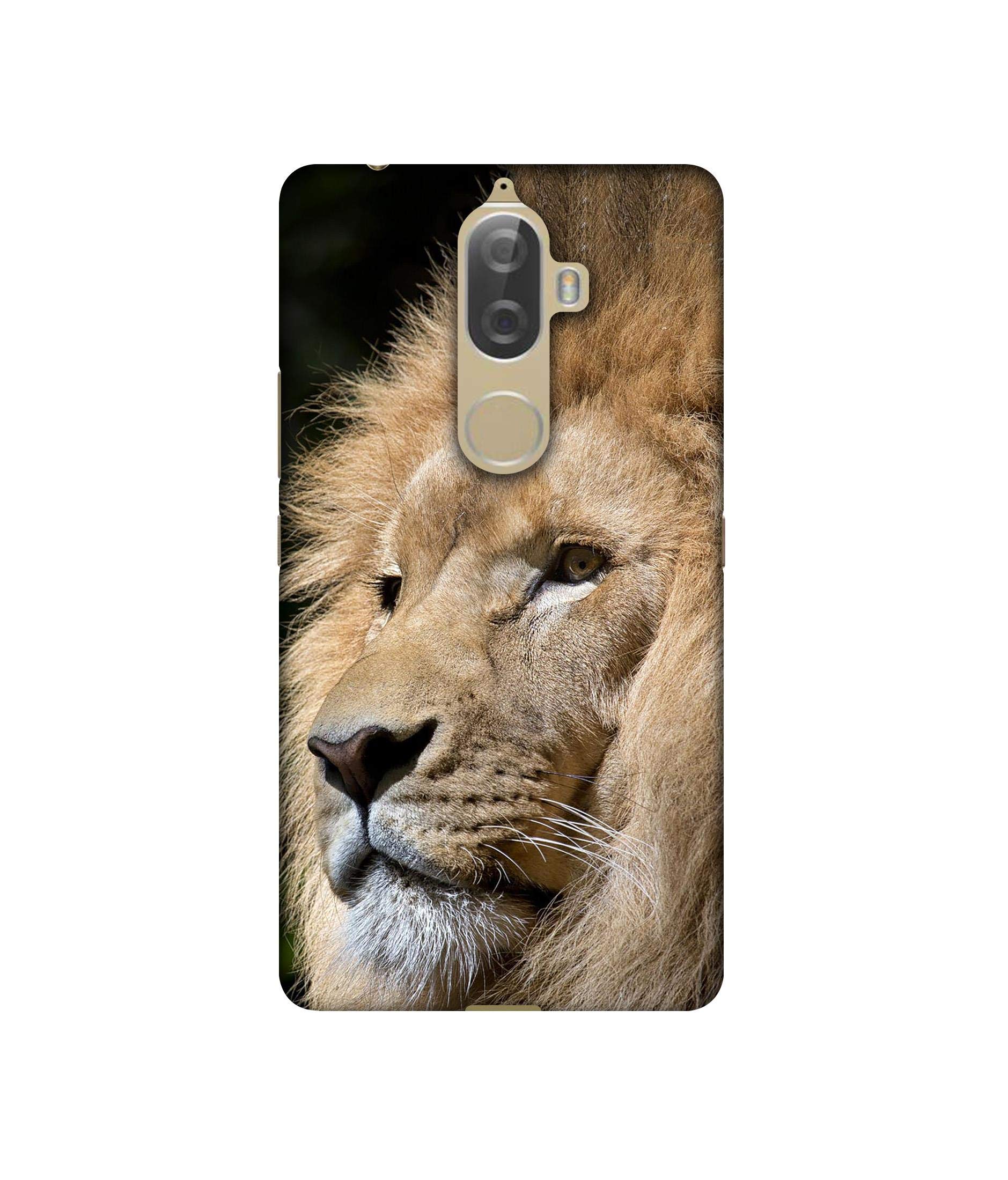Amazon Brand - Solimo Designer Lion UV Printed Soft Back Case Mobile Cover for Lenovo K8 Plus (B08569KVX7) Amazon Price History, Amazon Price Tracker