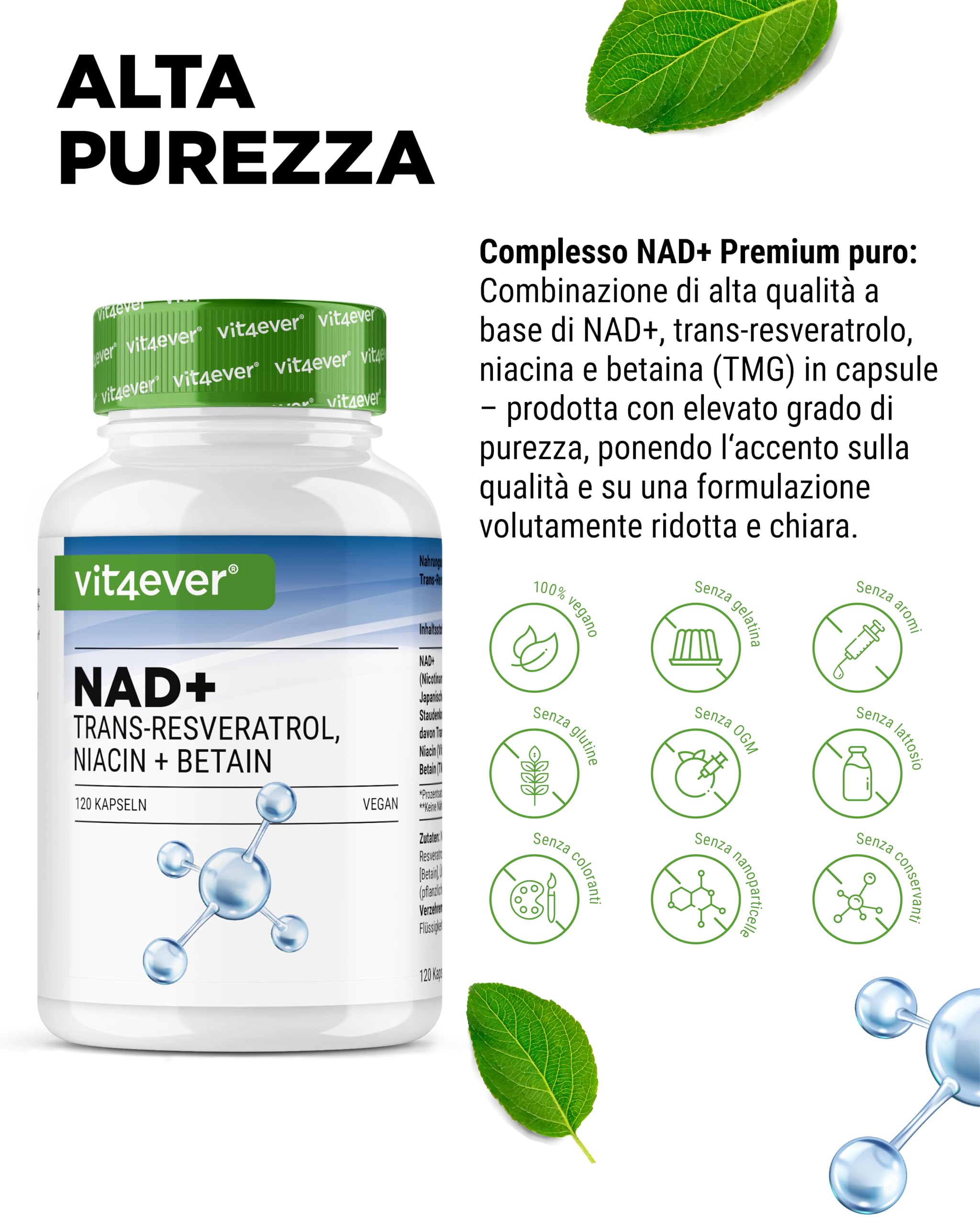 vit4ever Capsule NAD+ - 500 mg di NAD+ (Nicotinamide Adenina Dinucleotide) + 250 mg di Trans-Resveratrolo 98% + 150 mg di Niacina + 100 mg di Betaina (TMG) - 120 Capsule Vegane - Scorta per 60 Giorni