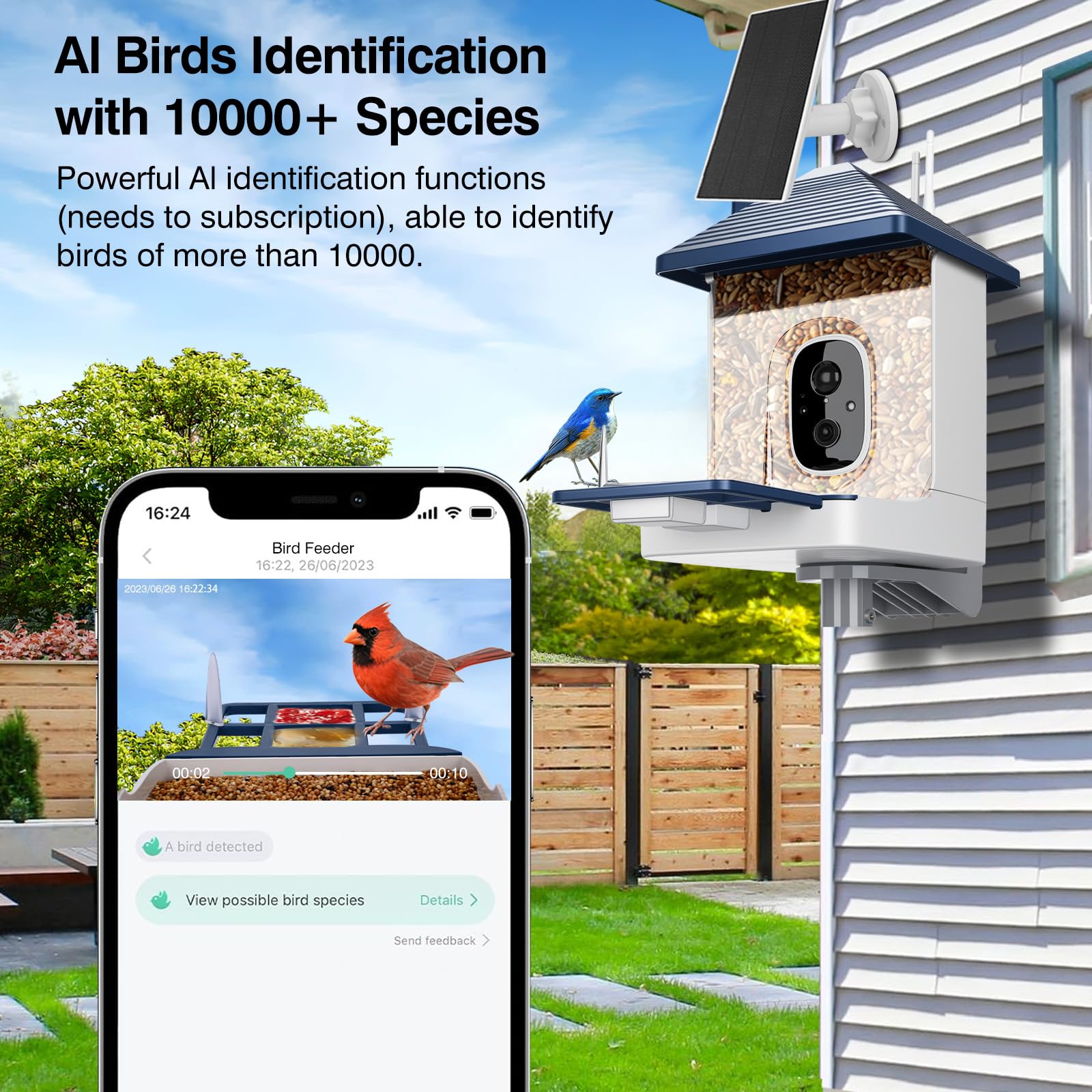 Comedero solar inteligente para pájaros con cámara, comedero para pájaros HD 2K para exteriores, azul índigo