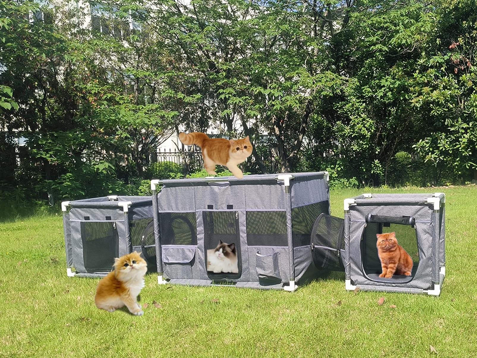 Enclos 3 en 1 pour chien et chat intérieur et extérieur modulable
