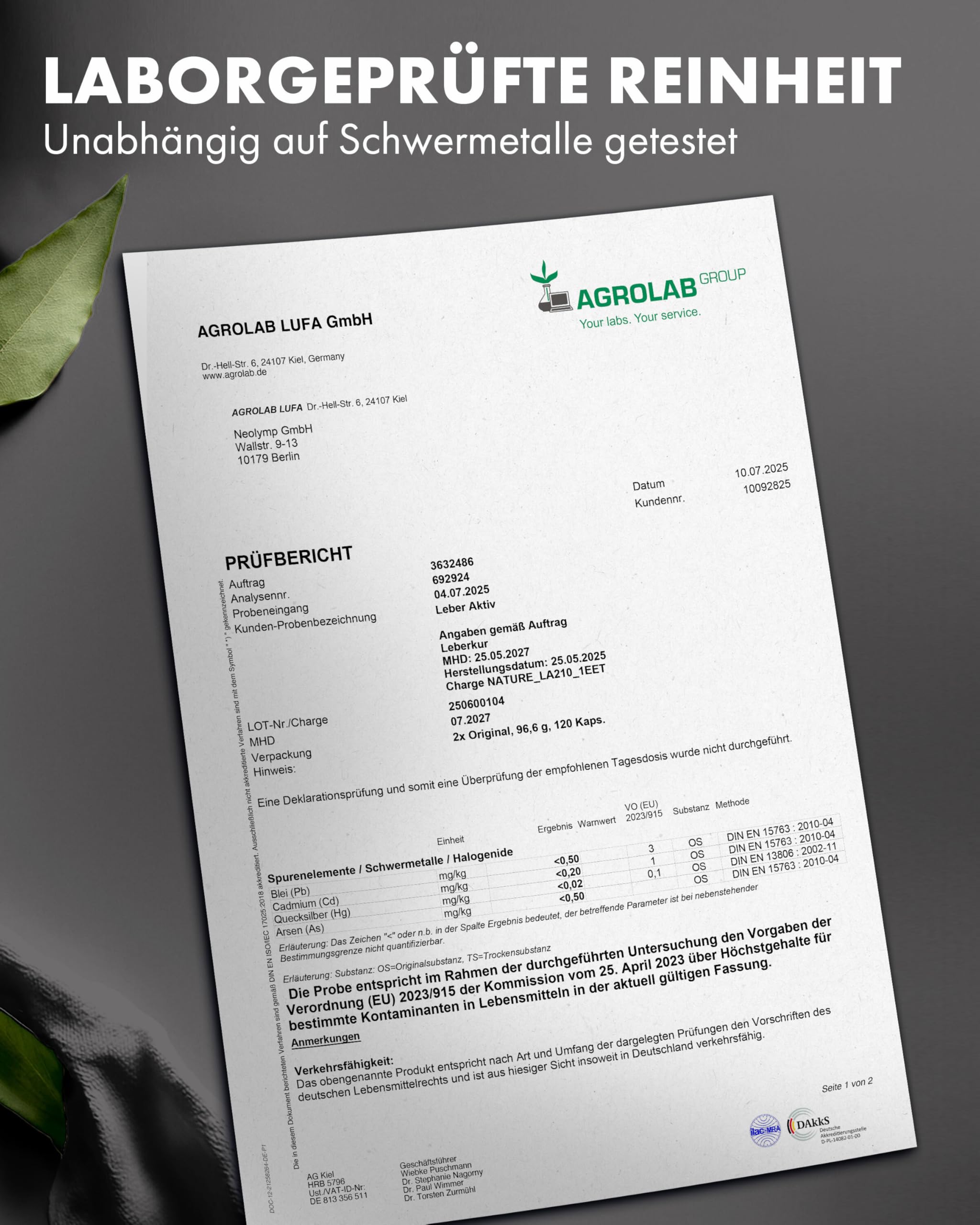 NATURE ELEGANCE Leber Komplex – Hochdosierte Mariendistel Kapseln mit Artischocke, Löwenzahn, Curcuma, Desmodium & Cholin – Vegan & laborgeprüft - produziert in Deutschland
